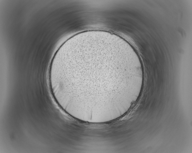 X0000111181440200907221039