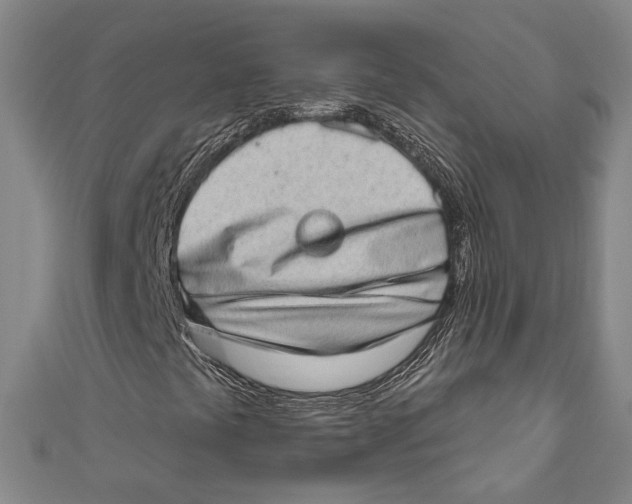 X0000111181441200907221039