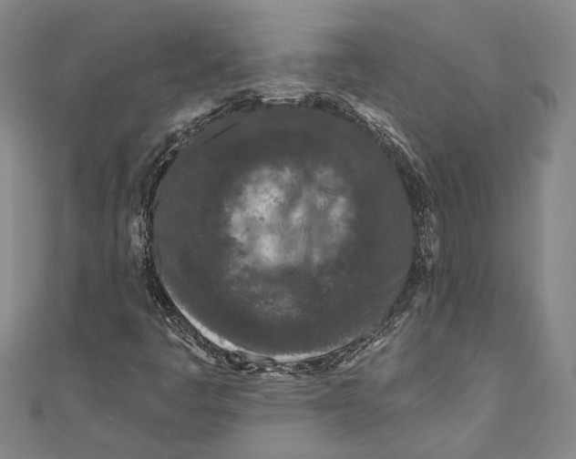 X0000111181445200907221039