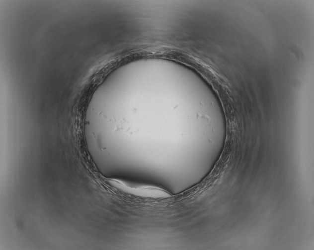 X0000111181447200907221039