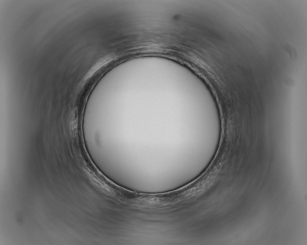 X0000111181450200907221038