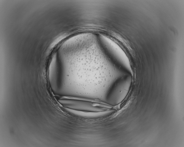 X0000111181453200907221038