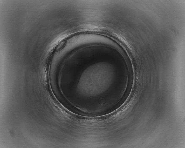 X0000111181455200907221038