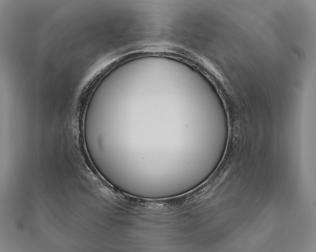 X0000111181456200907221038