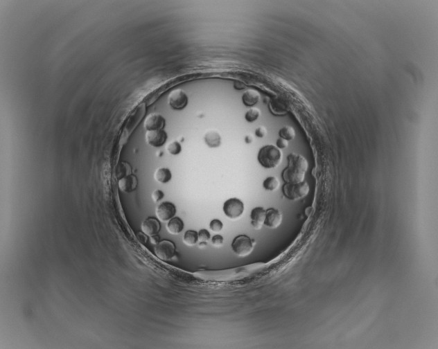 X0000111181457200907221038