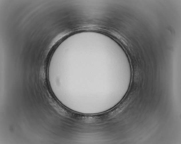 X0000111181458200907221038