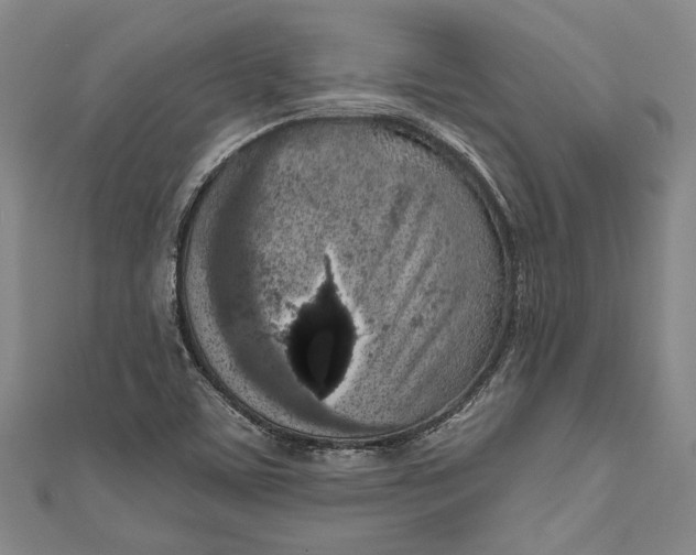 X0000111181459200907221038