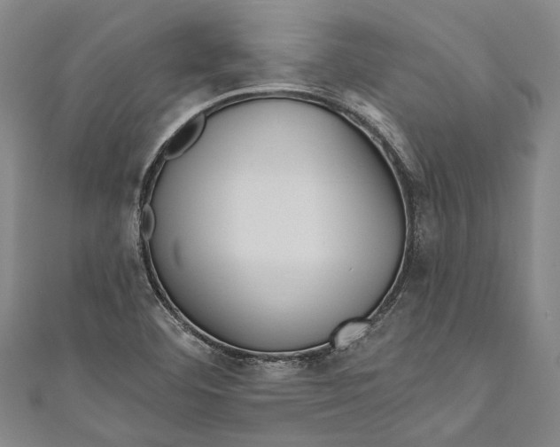 X0000111181460200907221038