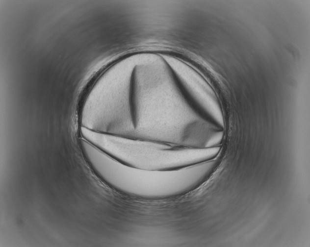 X0000111181461200907221038