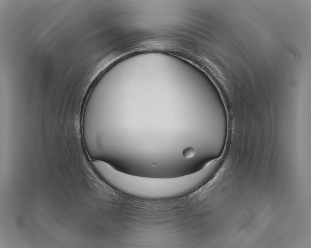 X0000111181465200907221038