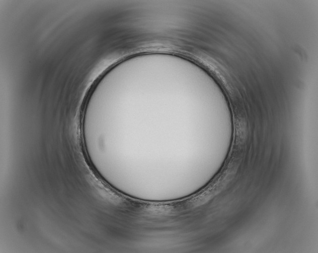 X0000111181466200907221038