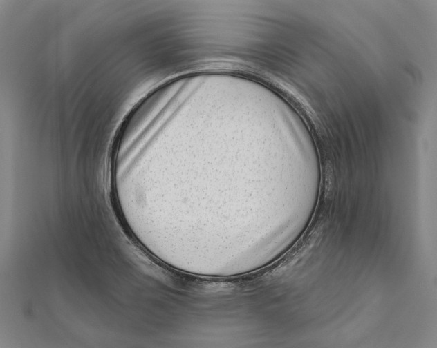 X0000111181467200907221038