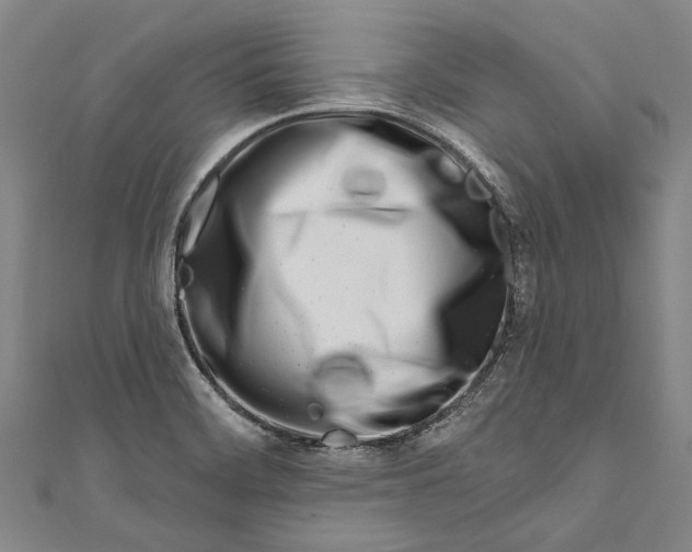 X0000111181468200907221038