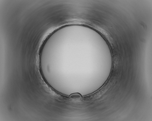 X0000111181472200907221038