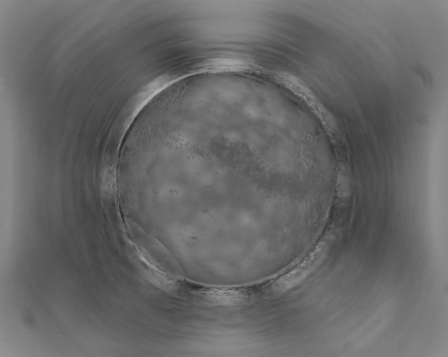 X0000111181473200907221038