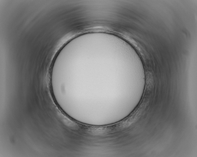 X0000111181474200907221038