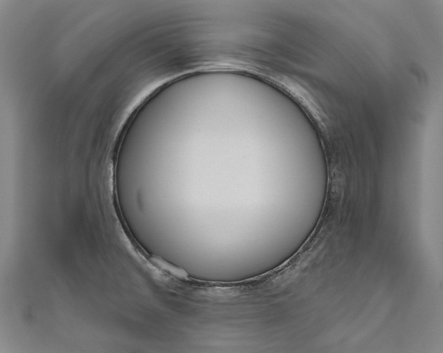 X0000111181476200907221038