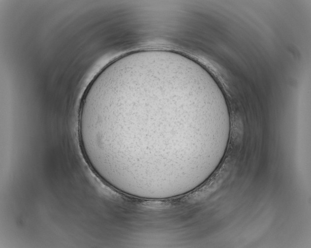 X0000111181478200907221038