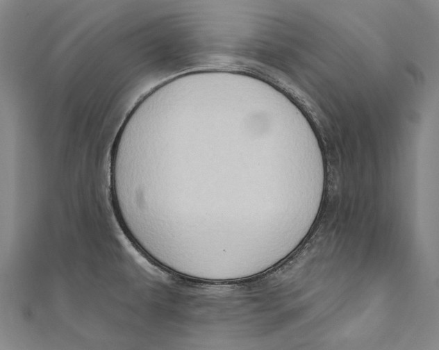 X0000111181479200907221038