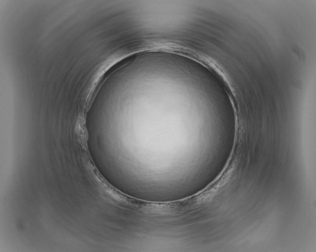 X0000111181481200907221038