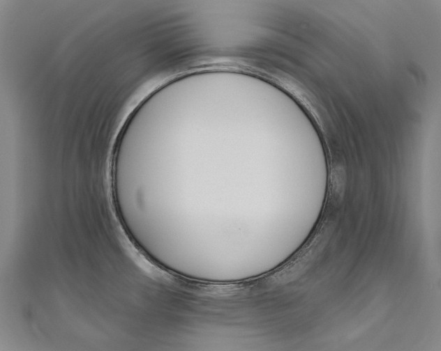 X0000111181482200907221038