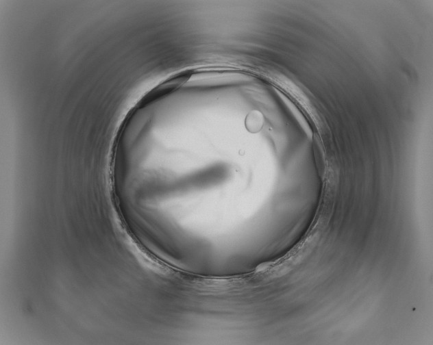 X0000111181485200907221038