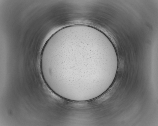 X0000111181486200907221038