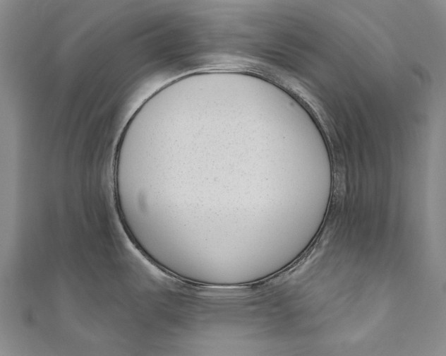 X0000111181487200907221038