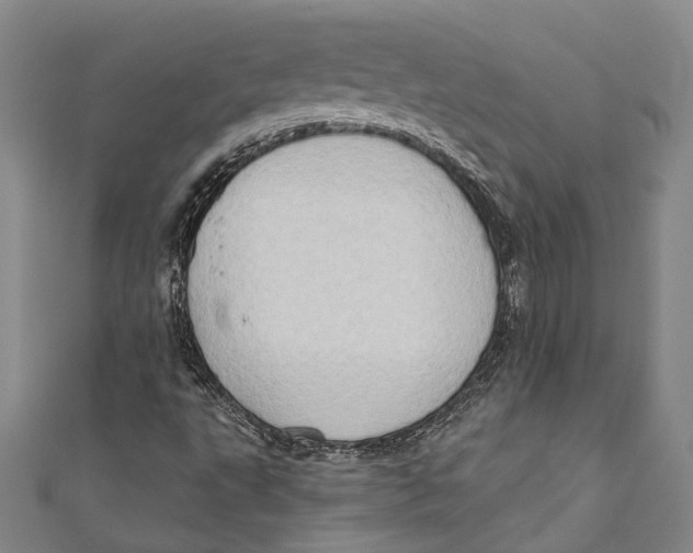 X0000111181495200907221037