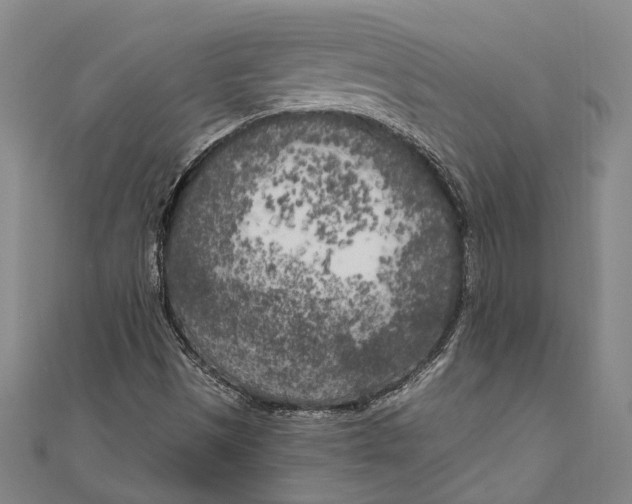 X0000111181497200907221037