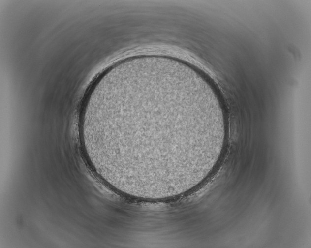 X0000111181498200907221037