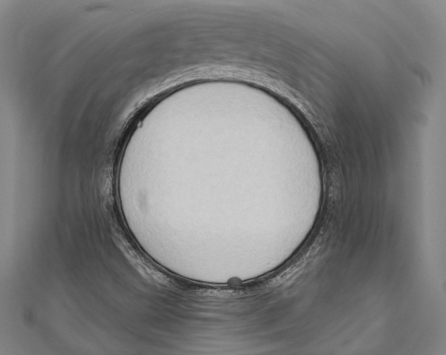 X0000111181499200907221038