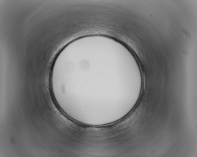 X0000111181500200907221038