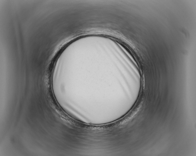 X0000111181501200907221038