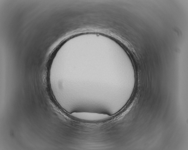 X0000111181502200907221038