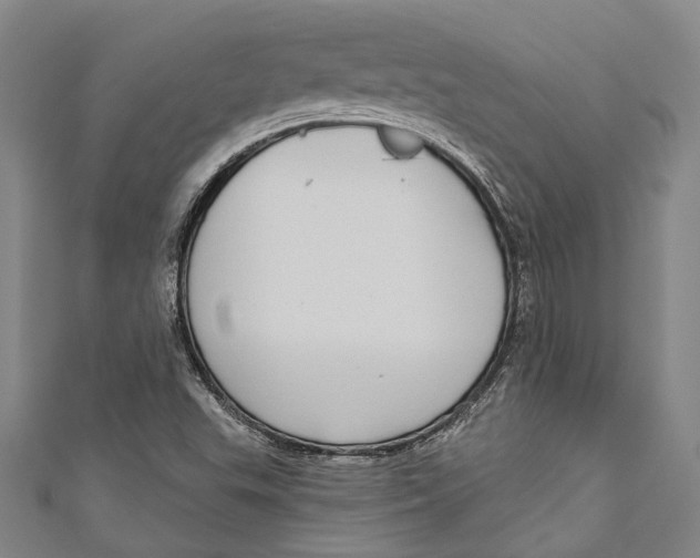 X0000111181503200907221038