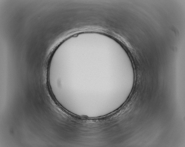 X0000111181504200907221038