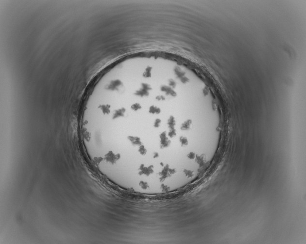 X0000111181505200907221038