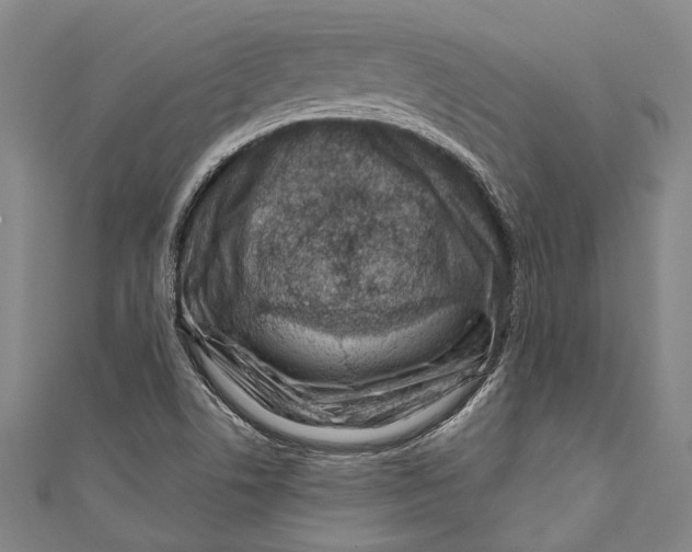 X0000111181506200907221038