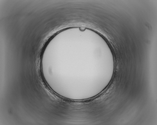 X0000111181507200907221038