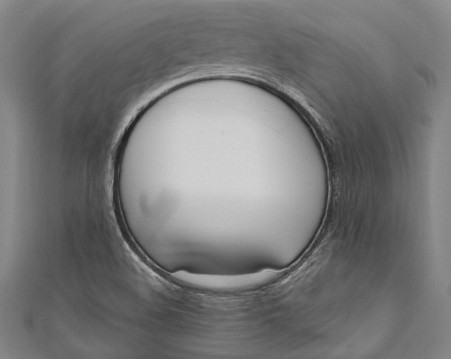 X0000111181508200907221038