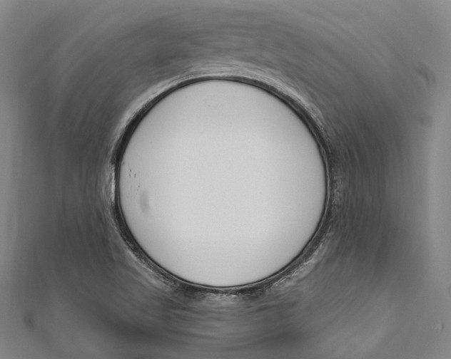 X0000111181509200907221038