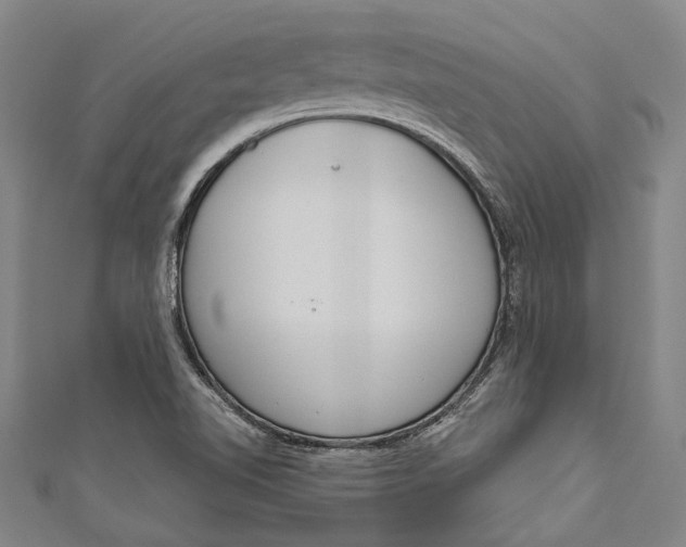 X0000111181510200907221038