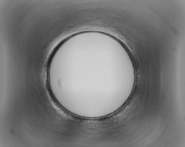 X0000111181511200907221038