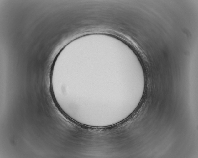 X0000111181512200907221038