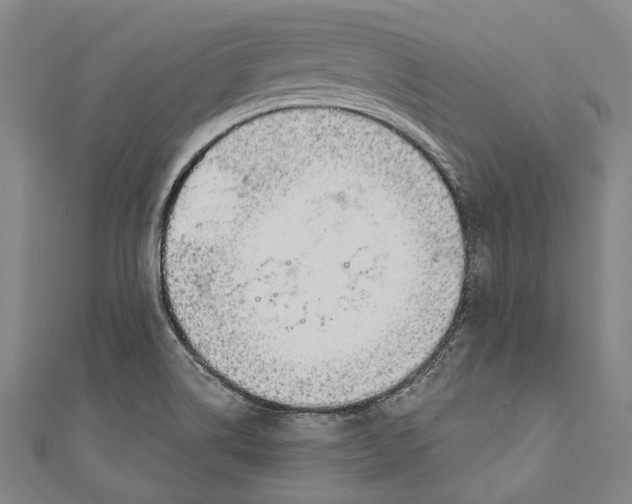 X0000111181514200907221038