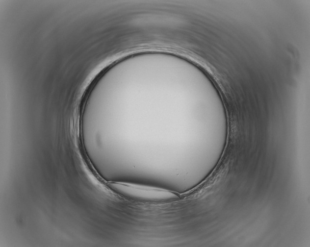 X0000111181515200907221038