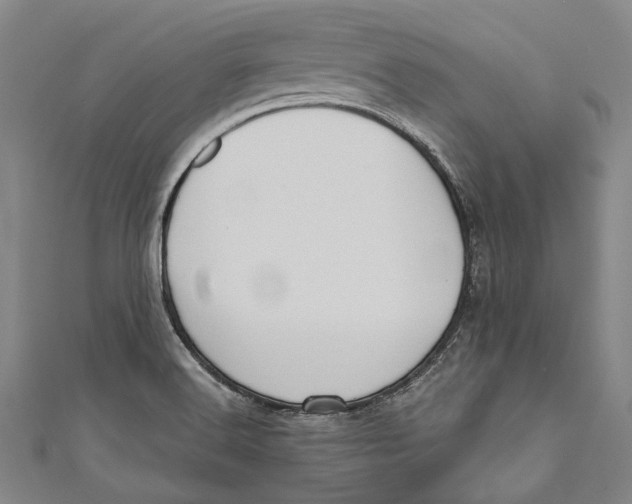 X0000111181516200907221038