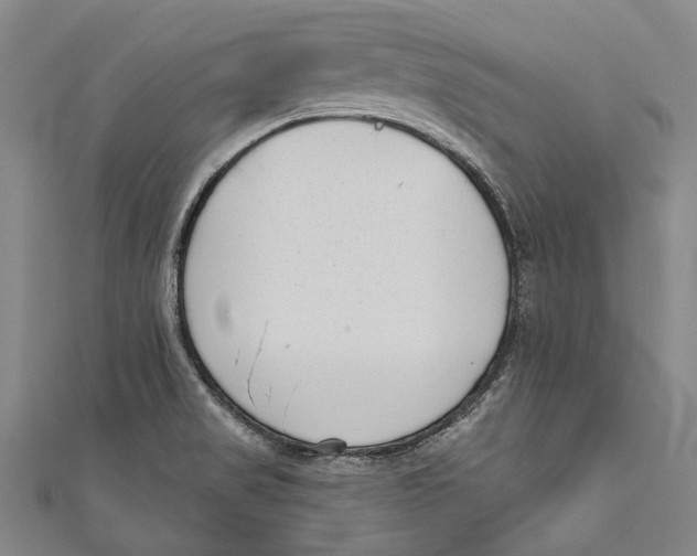 X0000111181517200907221038