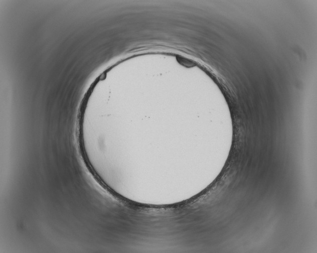 X0000111181518200907221038